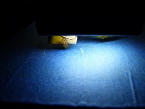 anet a8 upgrades : led lights on